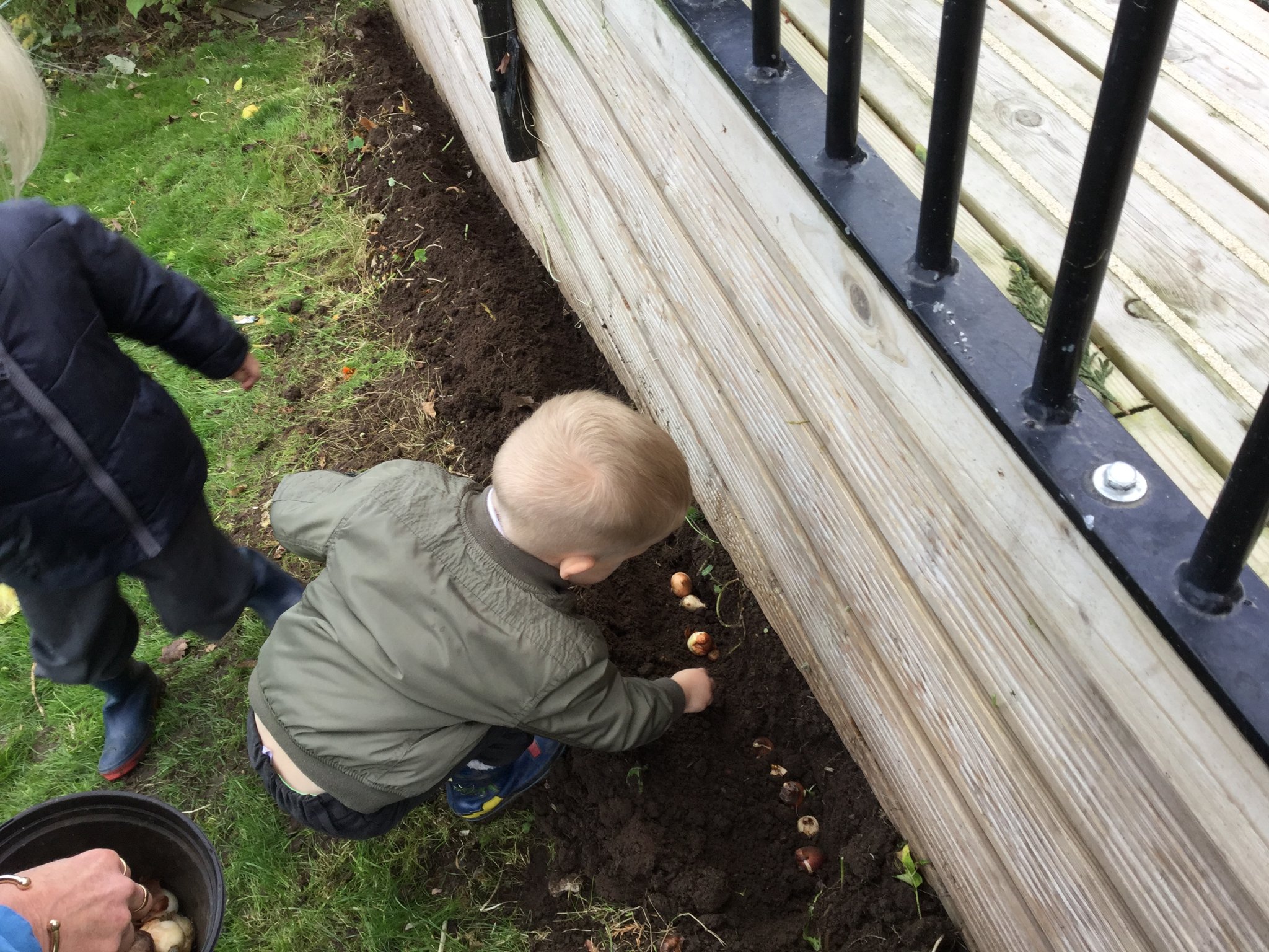 Image of bulb planting